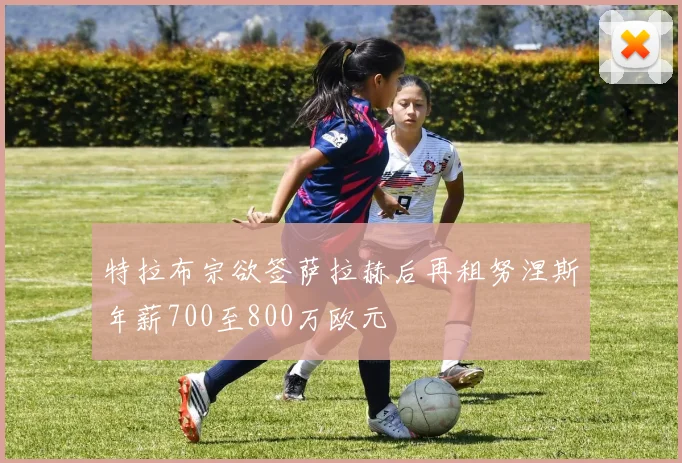 特拉布宗欲签萨拉赫后再租努涅斯年薪700至800万欧元